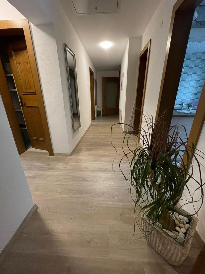 Apartment Wildalmblick Нойкірхен-ам-Гросфенедігер Екстер'єр фото